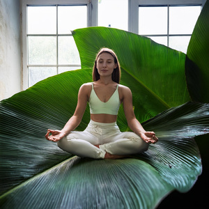 Pistas Armónicas Enfocadas