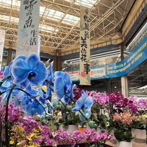 我不谈 也不等 谁走向我 我就爱谁