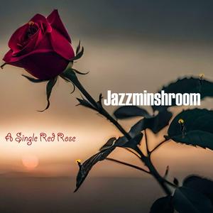 A Single Red Rose