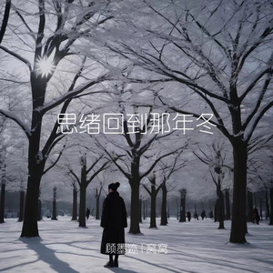 思绪回到那年冬 (那年冬那场风)