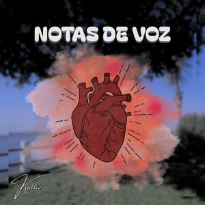 Notas de voz