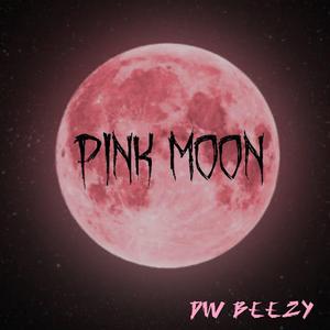 Pink Moon
