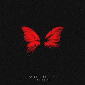 Voices (feat. discent)