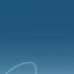 看看对面的那只鸟