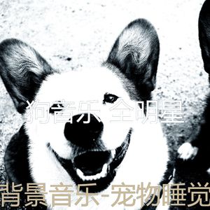 分类(宠物睡觉)