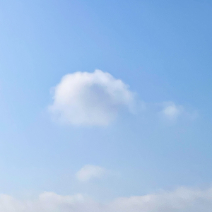 不敢说- proud by FakeBlood