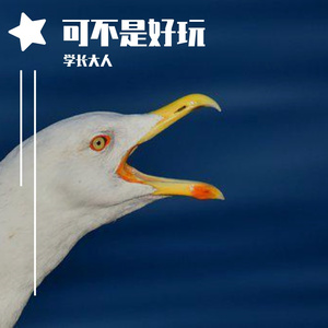 可是不好玩
