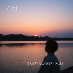 漫天的雪落在想你的夜