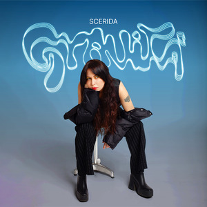 Gravità