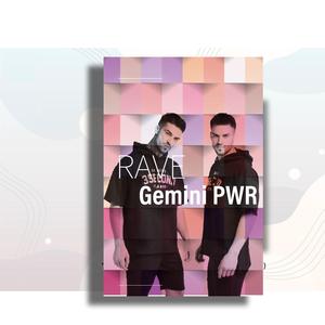 Gemini PWR