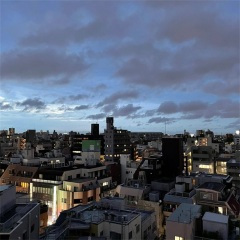 你很会打吗 (DJ版)