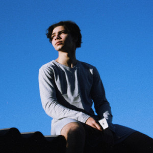 I Can't Help Falling for You