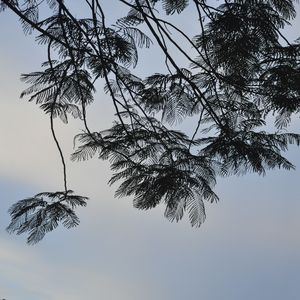 独白（Pord By ATTBEAT）