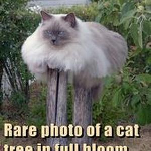 Preguntale (sped up)