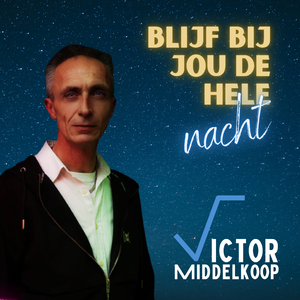 Blijf bij jou de hele nacht