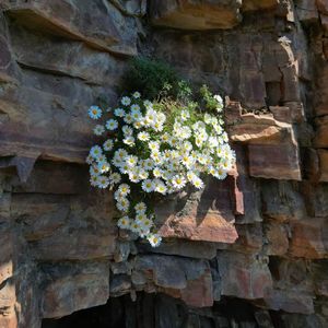 A Letter 4 Myself(致三年前的一封信)