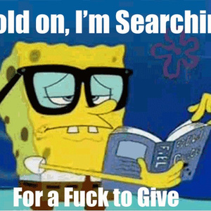 We Don't Give a ****