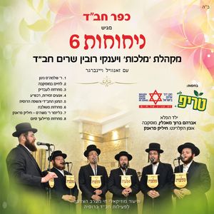 רצועה 08