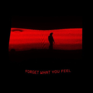 ForgetWhatYouFeel