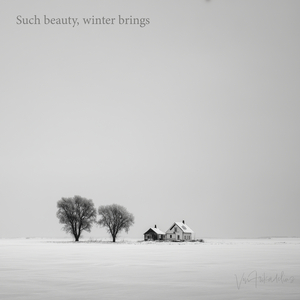 Such beauty, winter brings