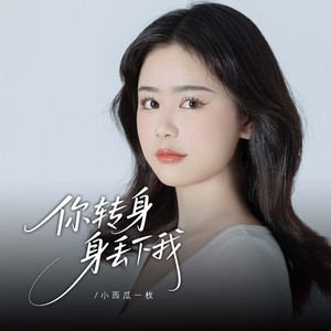 你转身丢下了我 (伴奏)
