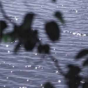 我喜欢上你时的内心活动