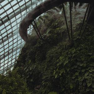 House of the Rising Sun