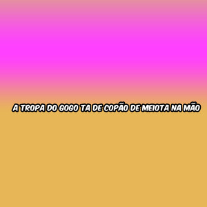 A TROPA DO GOGO TA DE COPÃO DE MEIOTA NA MÃO