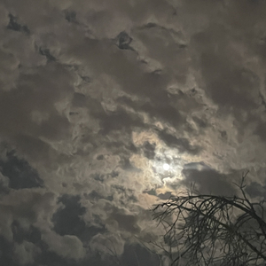 I’d rather pretend-Emr