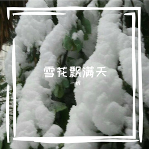 雪花飘满天