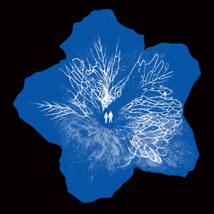 그대의 차가운 손