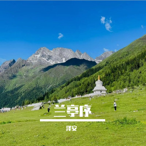 向阳花绽放