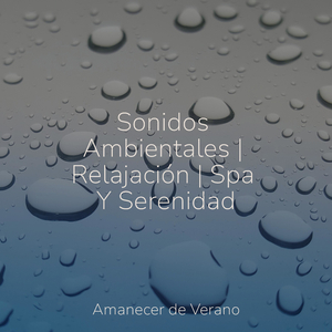 Flujo Rítmico Cromático