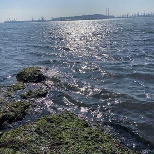 轰轰轰-随笔part1（ᚷᛟᚢᛏᚣ·ᚨ . ᛒ ᚨ Remix）