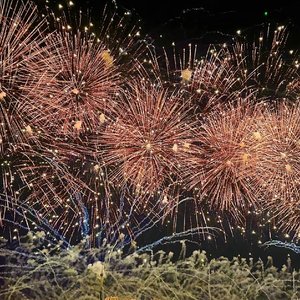 祈尔繁芜胜常春