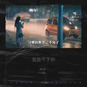 我放不下你雷州情歌