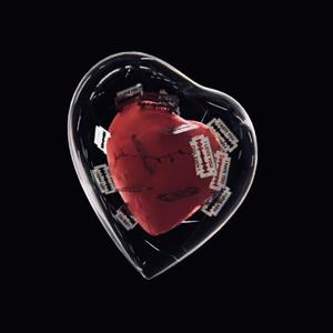 随烟火消失的花火