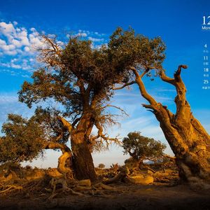 倘若思念是阵阵细雨落下