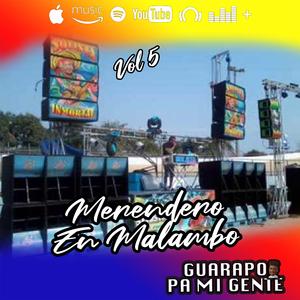 El Centellazo Solistero SOLISTA VOL 5 EN MERENDERO (Audios en Vivo)