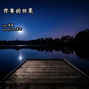 你要的结果（ProdEVOMUSIC和NeonMusic）