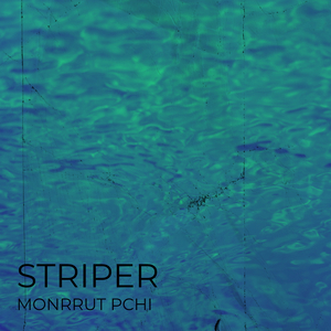 Striper