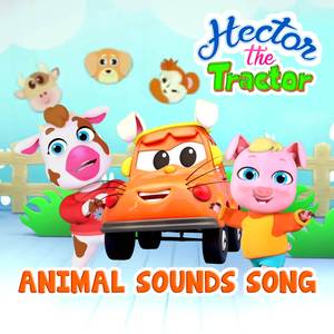 Animal Sounds Song
