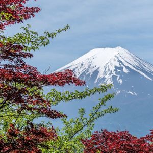 漆黑的夜晚（古筝）