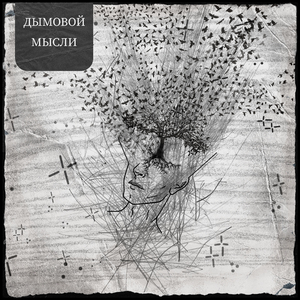 Мысли