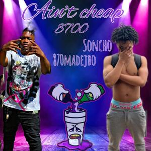 Ain't cheap (feat. 870madejbo)