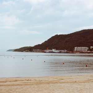 你教会我勇敢，却没教我遗忘