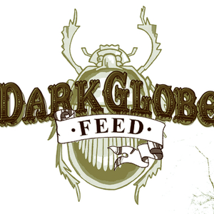 Feed (Shapeshifters Radio Mix)