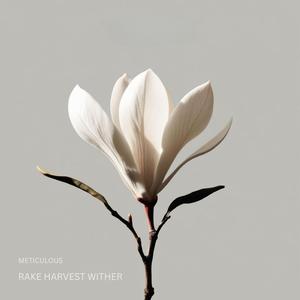 Liberating (feat. Sne)