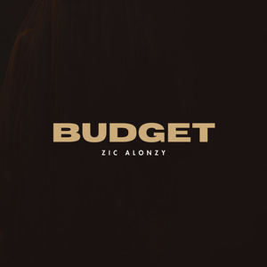 Budget