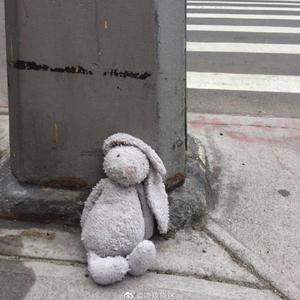 一首一分钟的歌